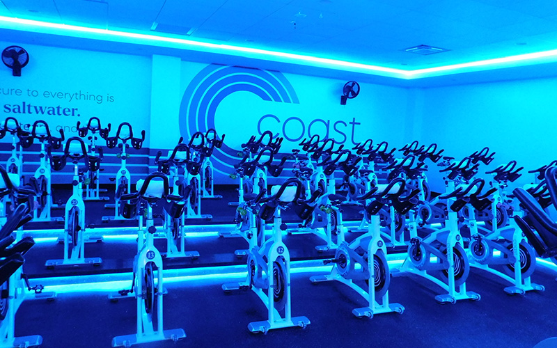 Dynamic 2024 cycle studio